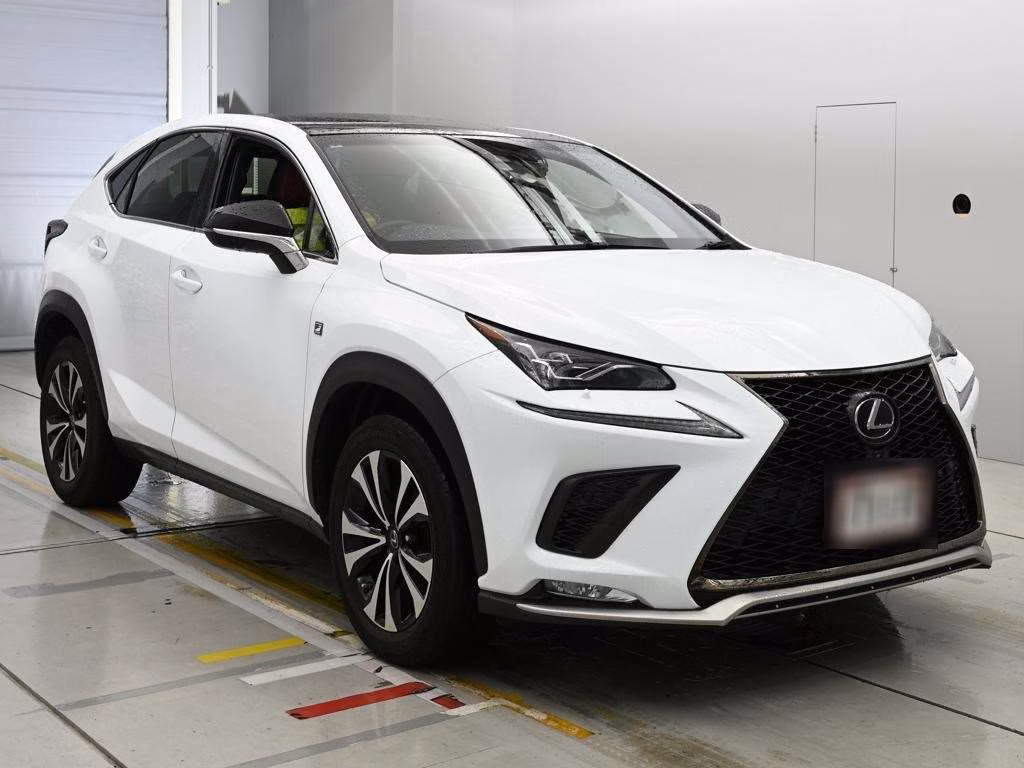 LEXUS NX300