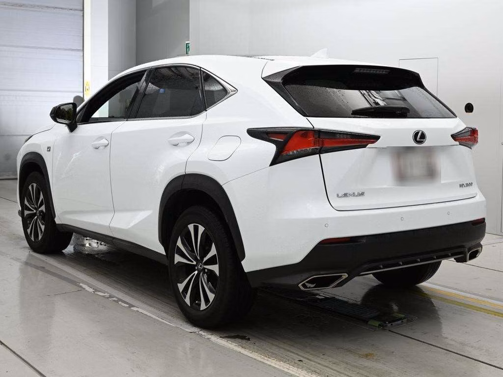 LEXUS NX300