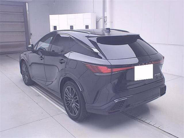 LEXUS RX500H
