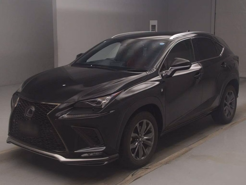 LEXUS NX300