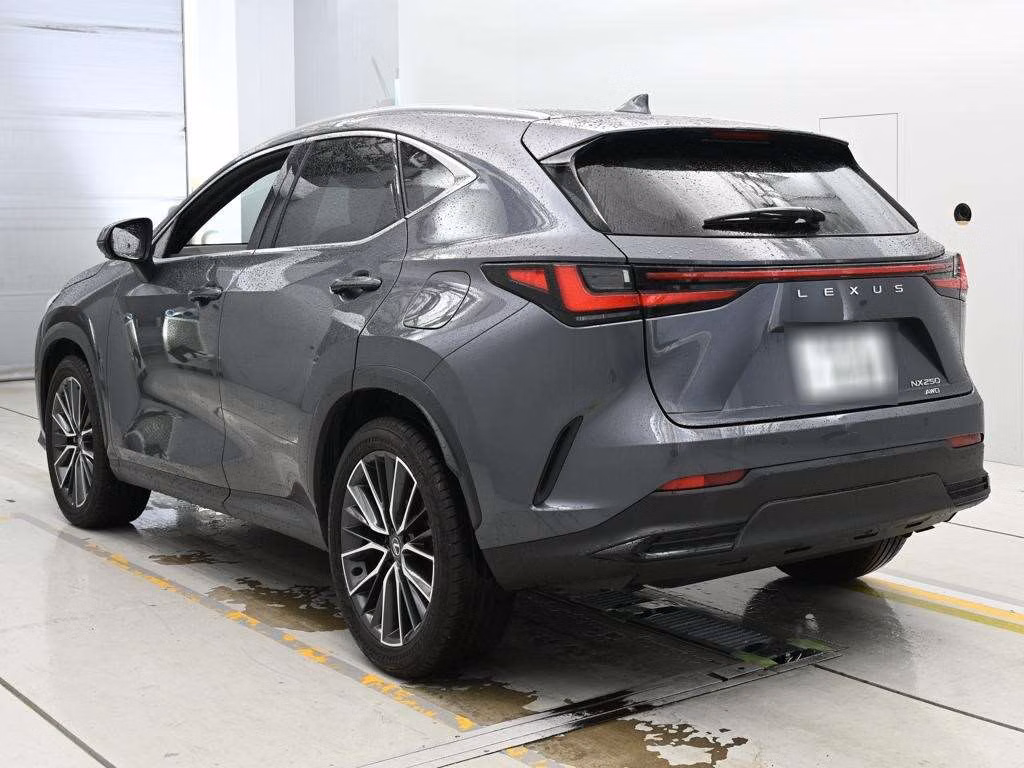 Lexus NX250