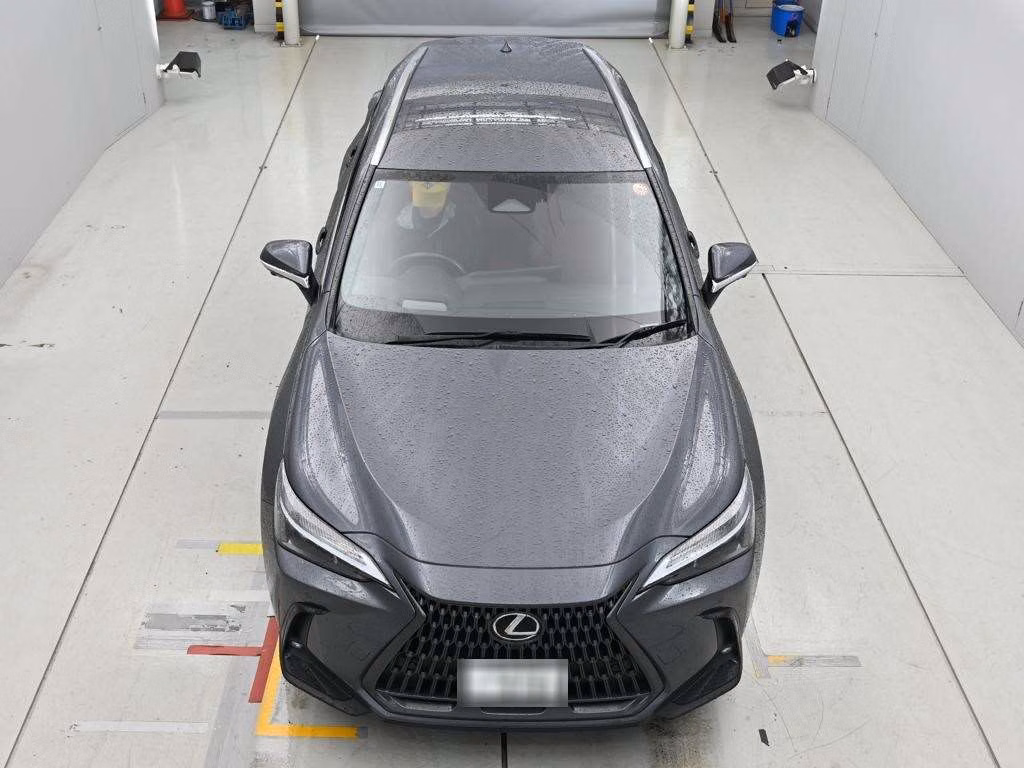 Lexus NX250