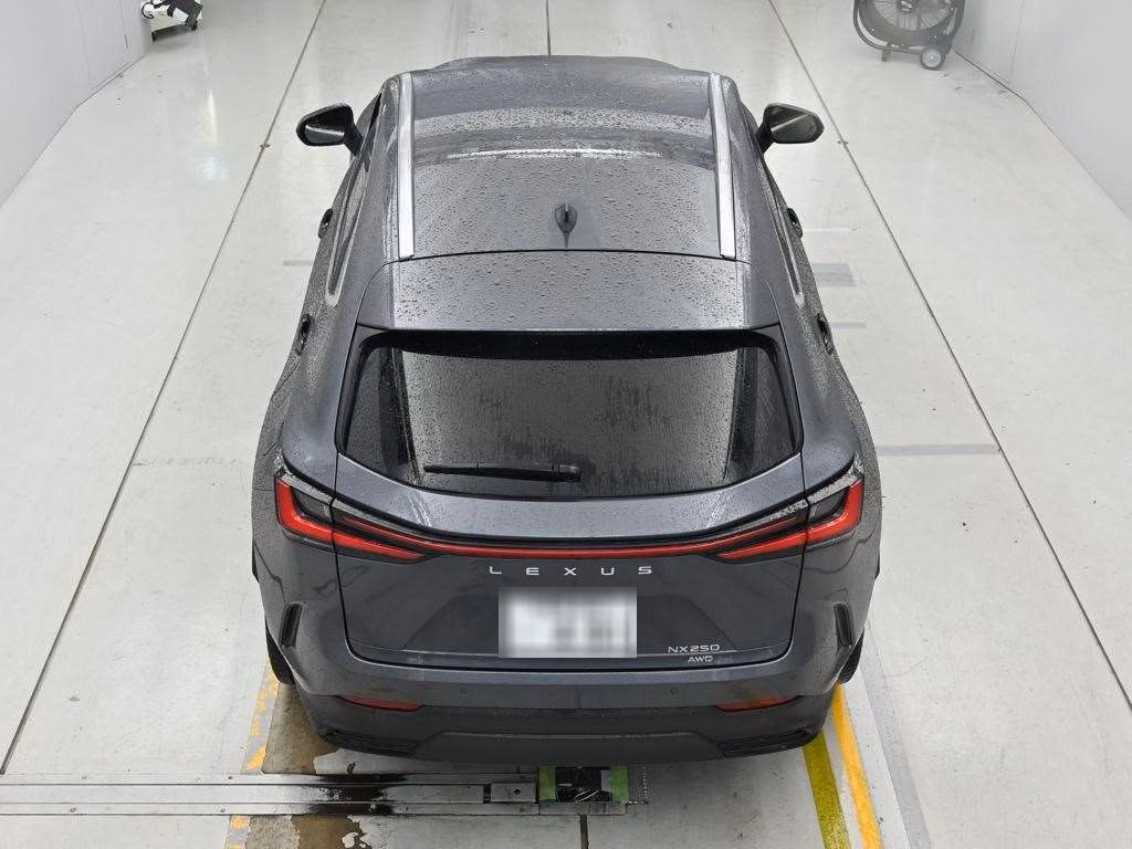 Lexus NX250