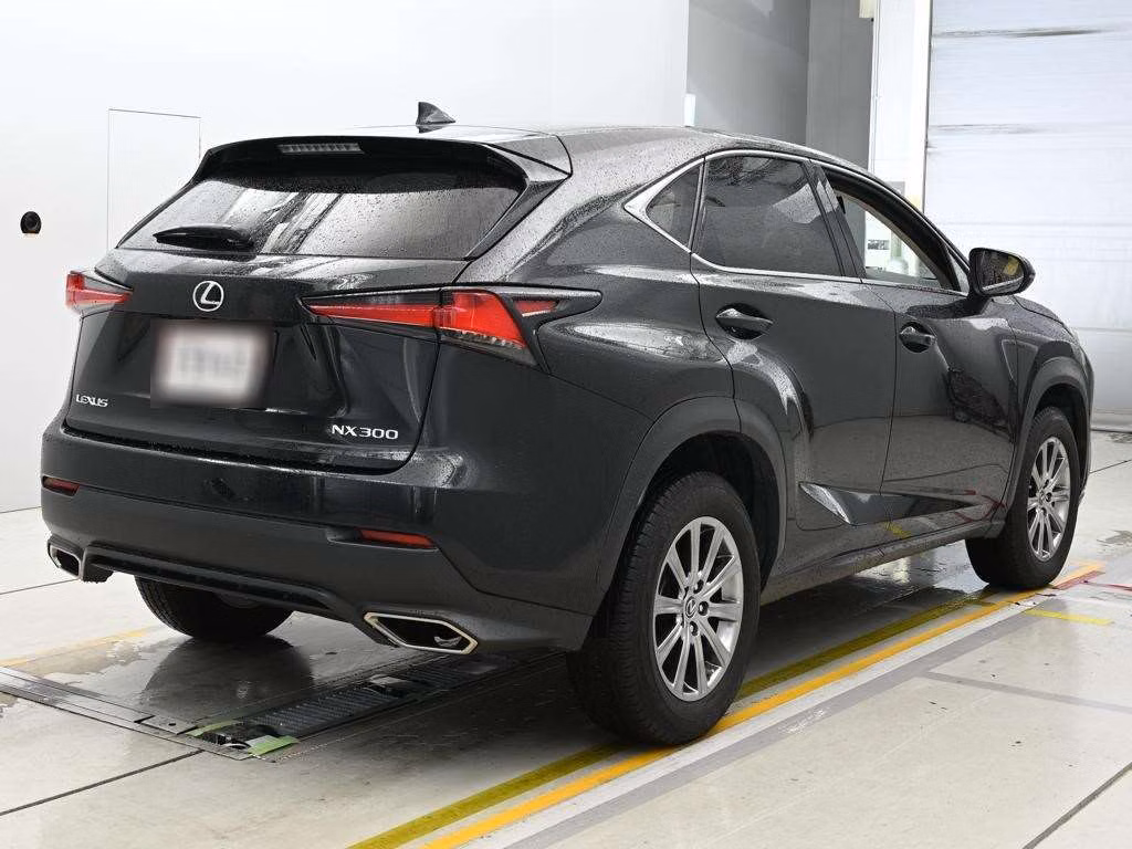 LEXUS NX300