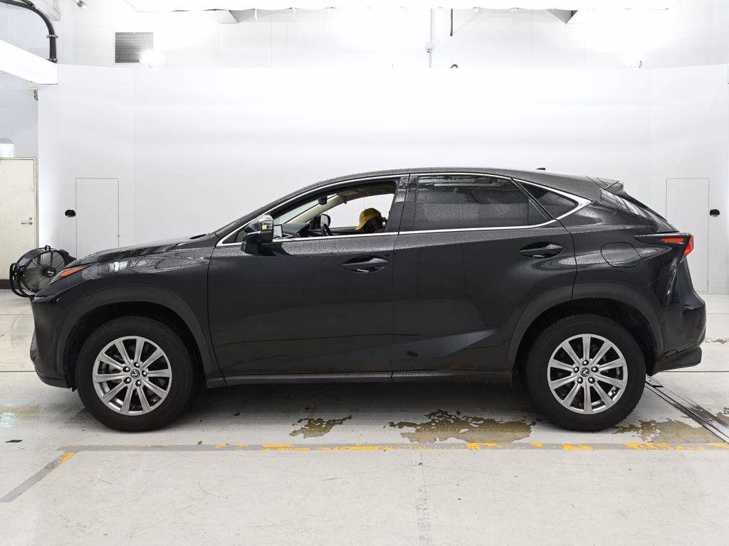 LEXUS NX300