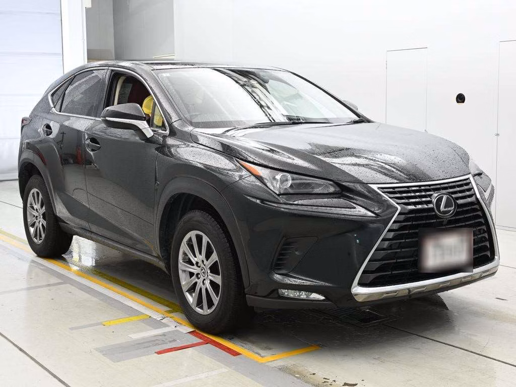 LEXUS NX300