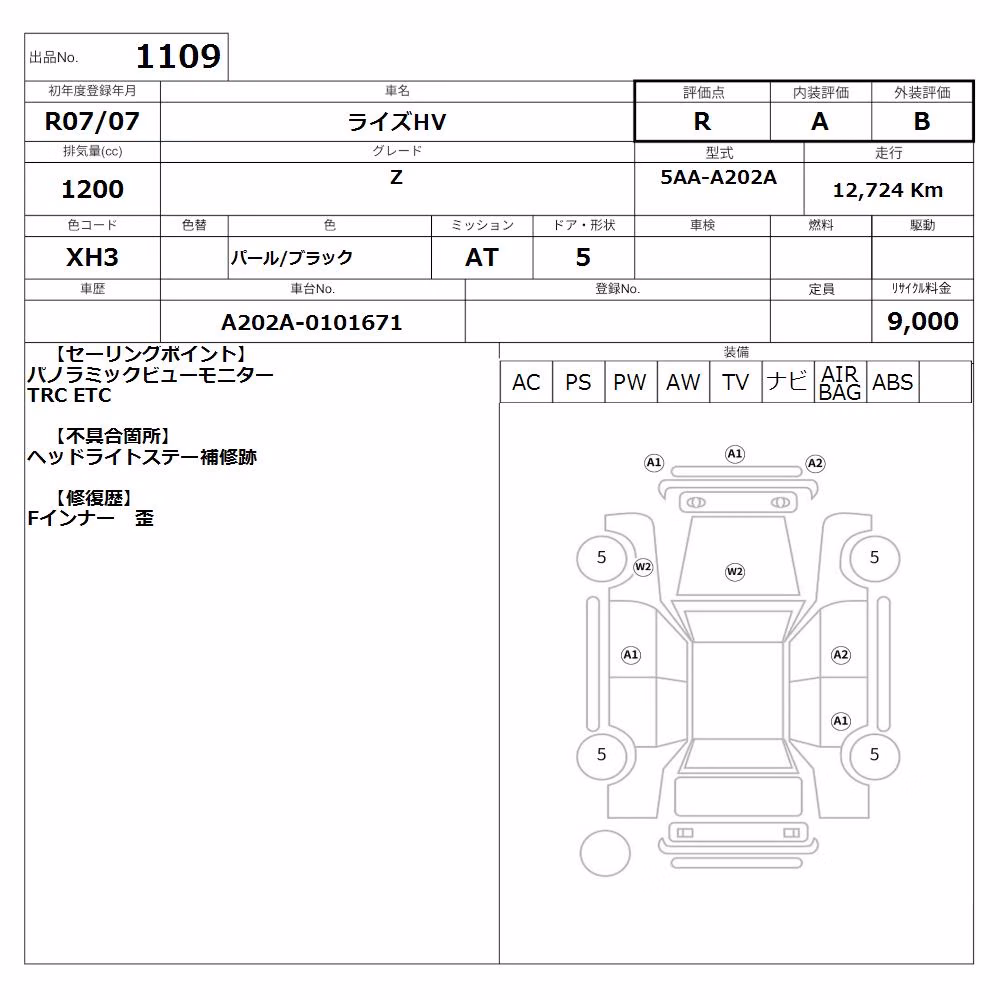 TOYOTA RAIZE