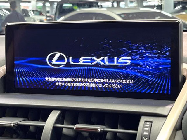 Lexus NX300h