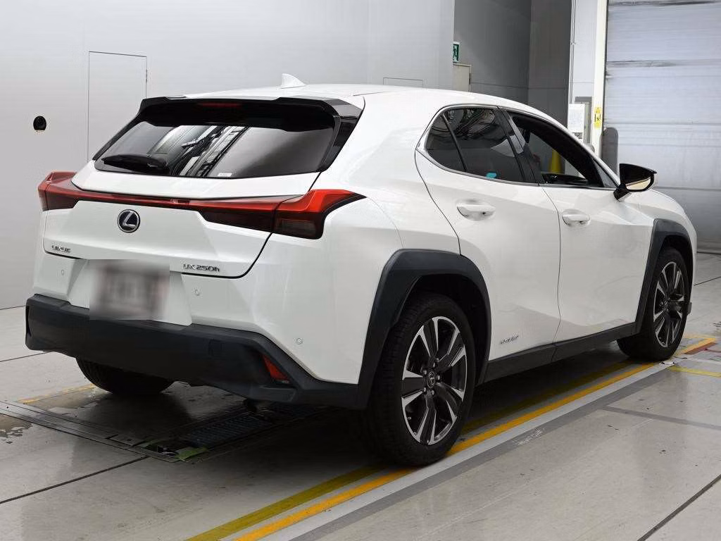 LEXUS UX250H