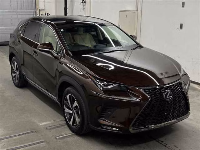 LEXUS NX300