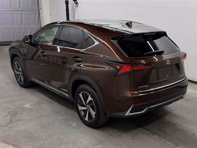 LEXUS NX300