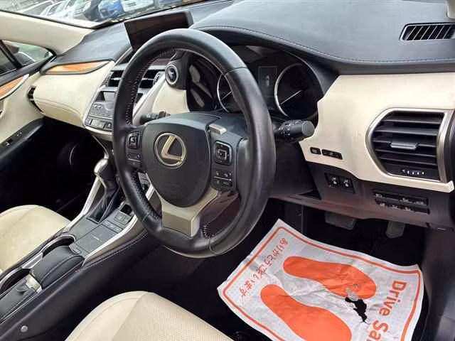 LEXUS NX300