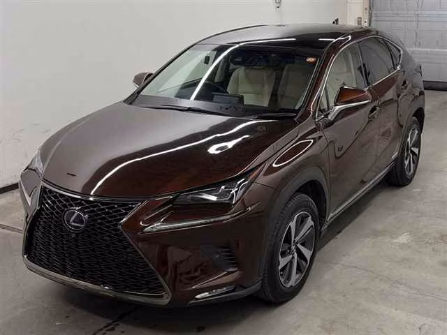 LEXUS NX300