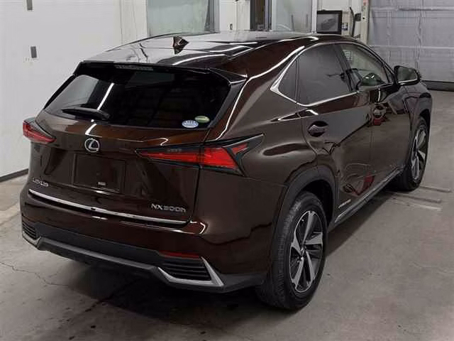 LEXUS NX300