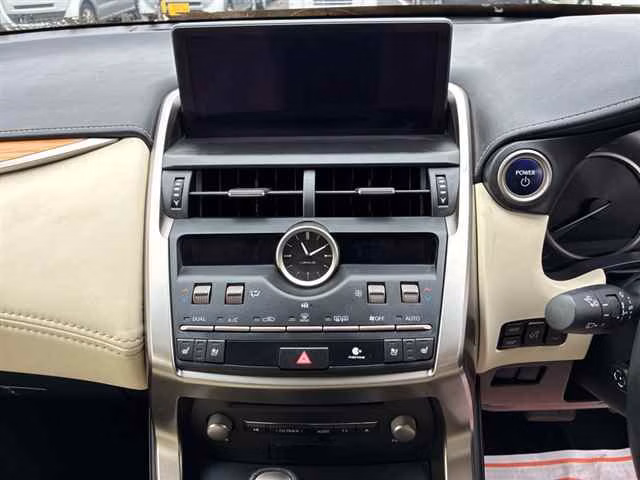 LEXUS NX300