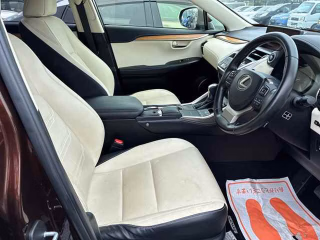 Lexus NX300