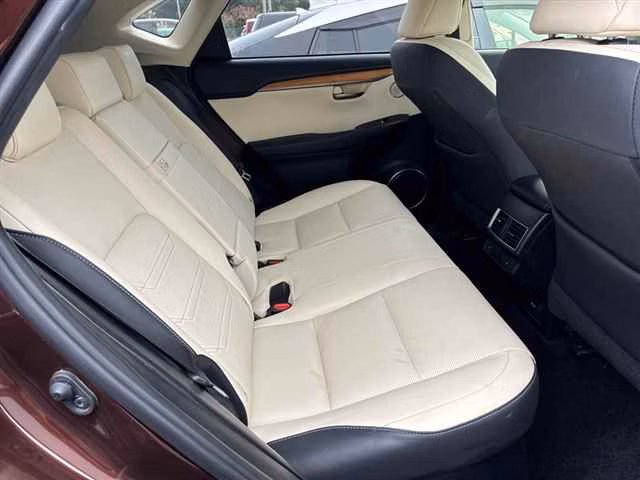 Lexus NX300