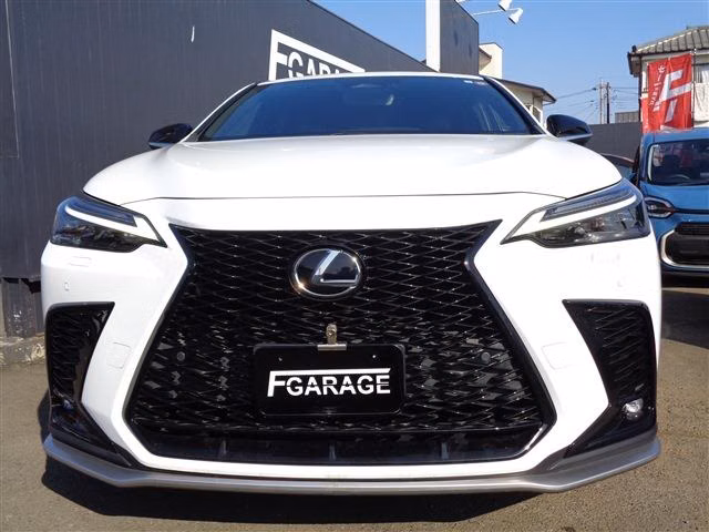 LEXUS NX350H