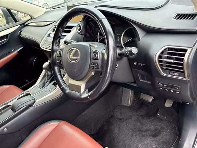 Lexus NX300h