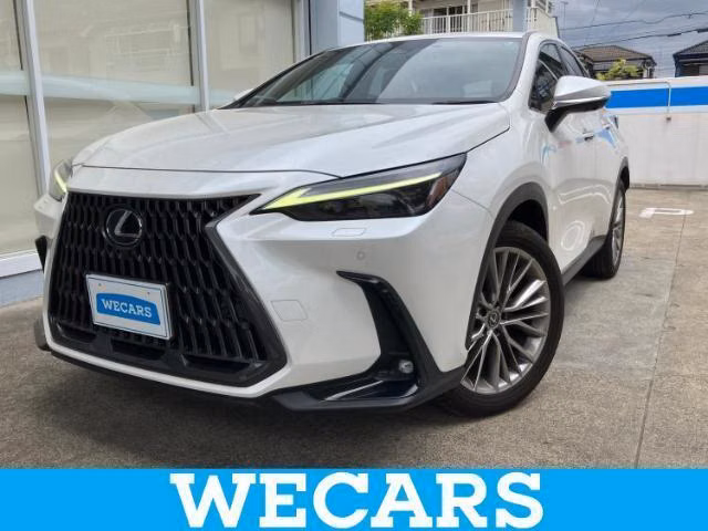 LEXUS NX250
