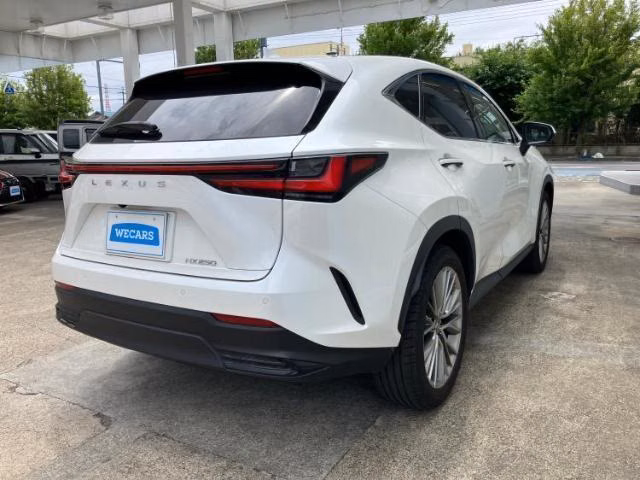 LEXUS NX250