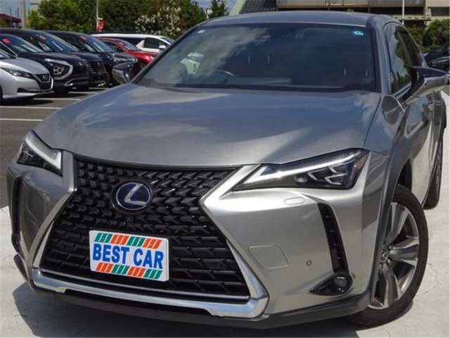 Lexus UX300e