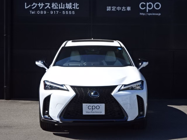 Lexus UX250h