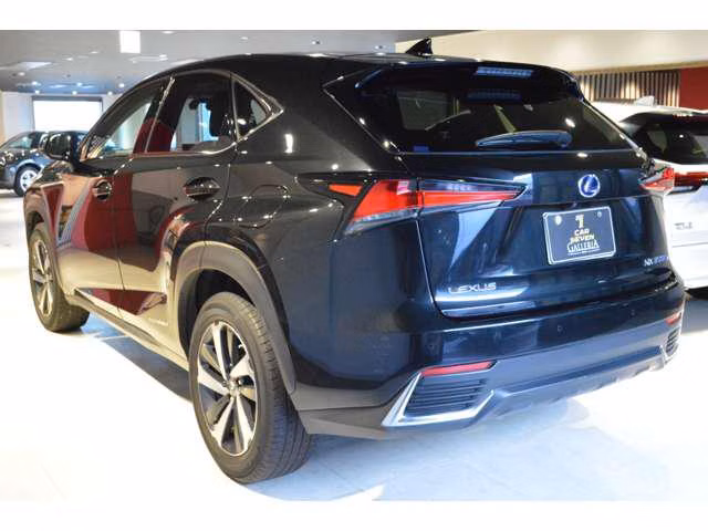 Lexus NX300h