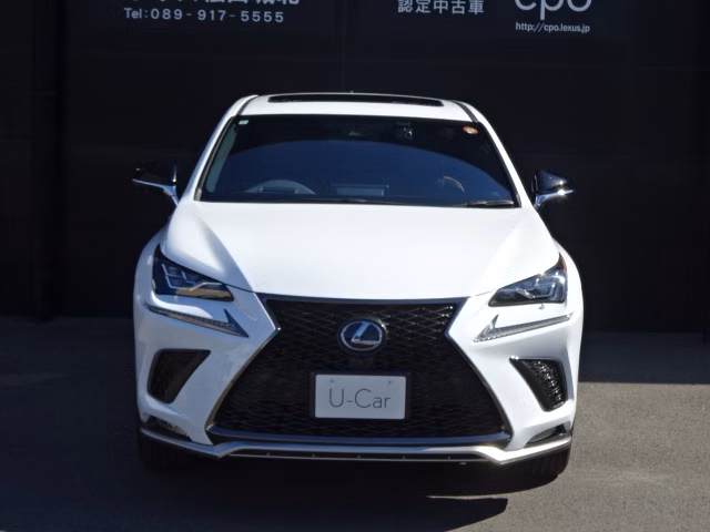 Lexus NX300h