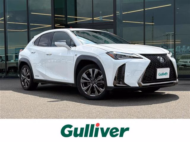 Lexus UX250h