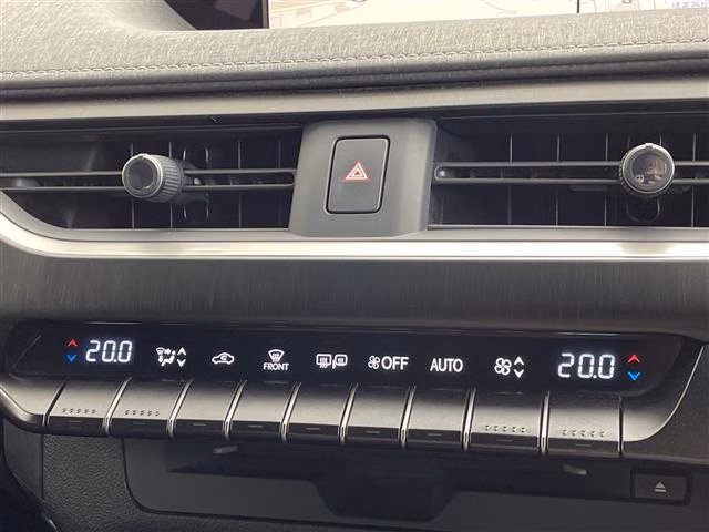 Lexus UX250h