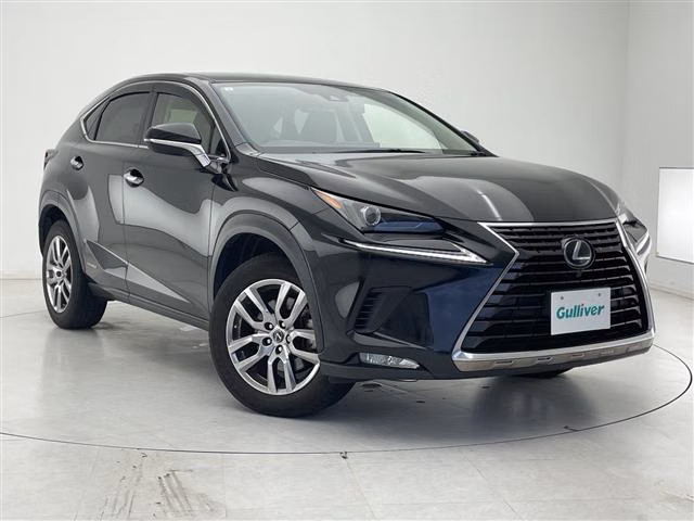 Lexus NX300h