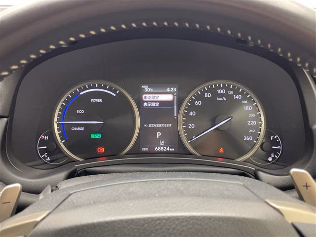 Lexus NX300h