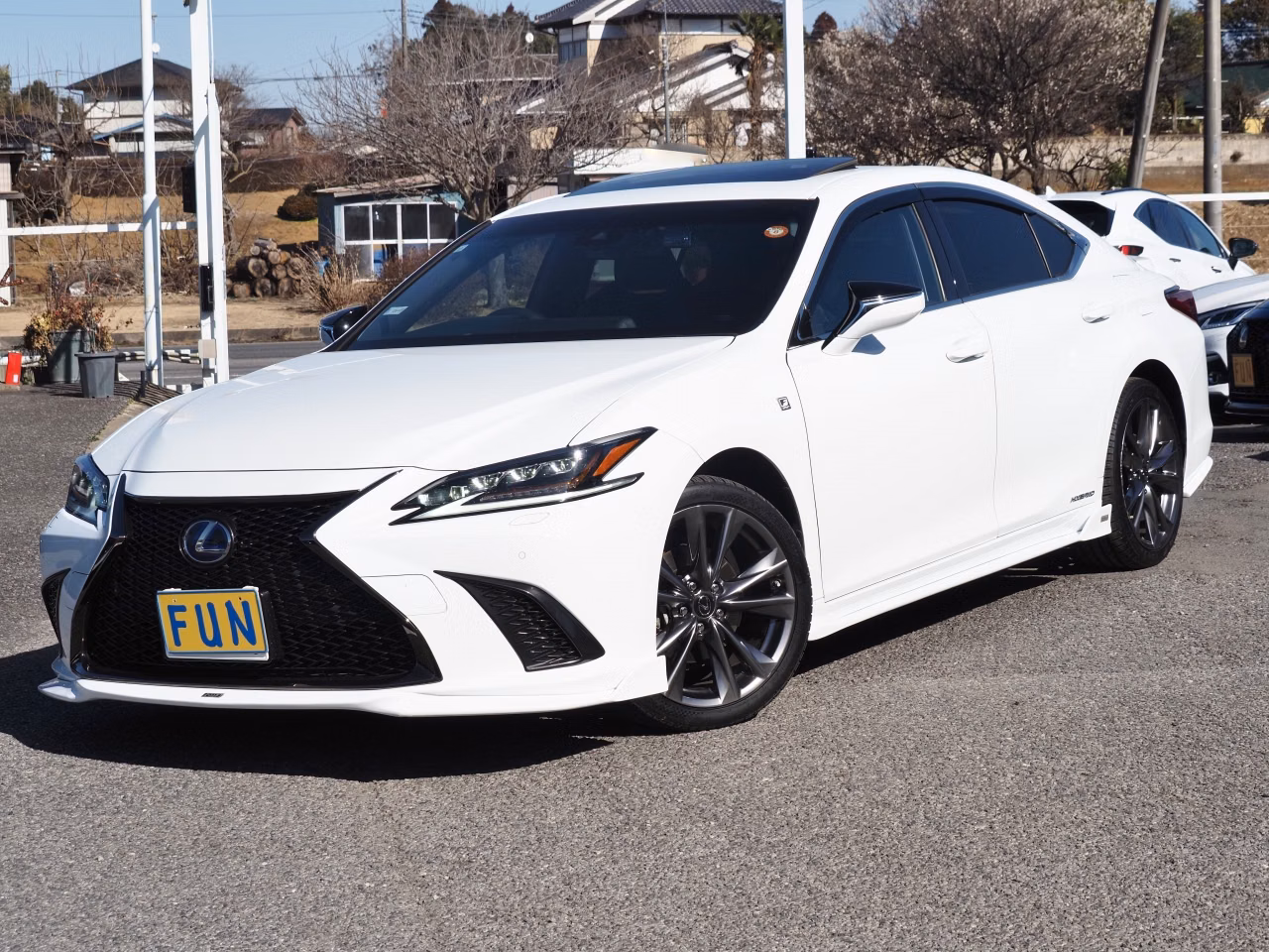 LEXUS ES300H