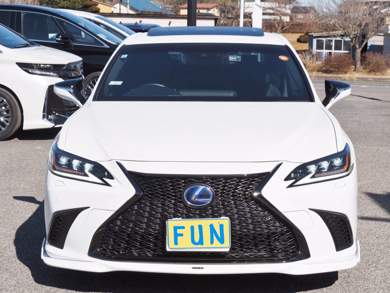LEXUS ES300H