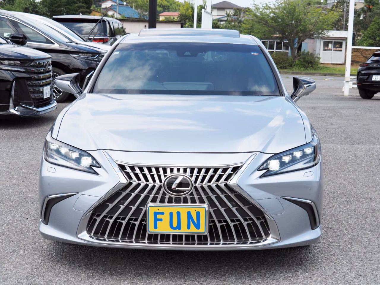 LEXUS ES300H