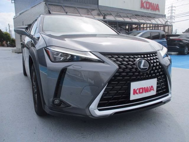 Lexus UX250h