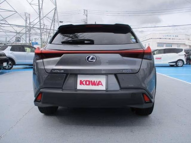 Lexus UX250h