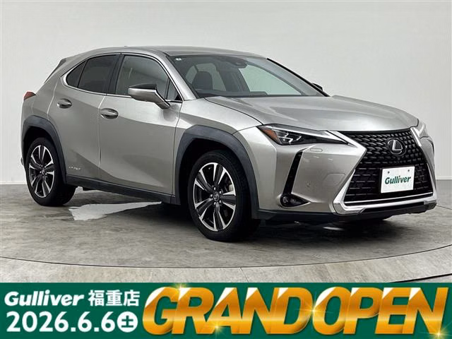 Lexus UX250h