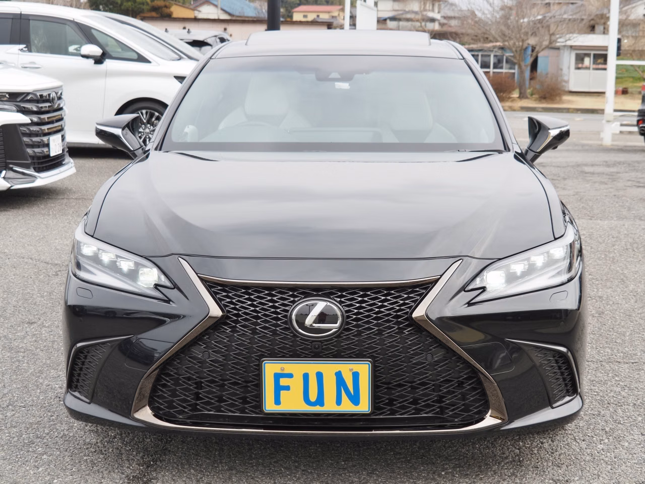 LEXUS ES300H