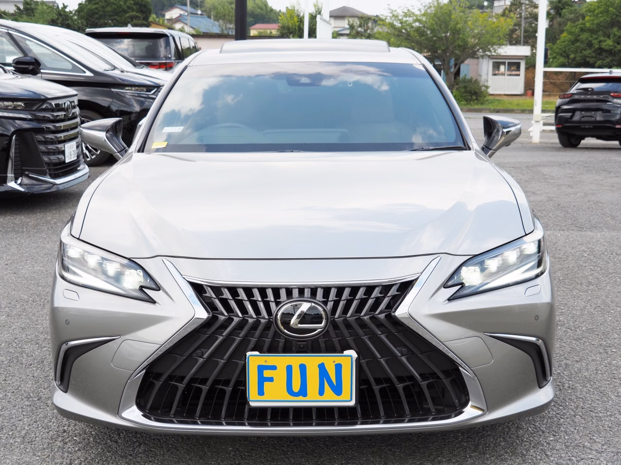 LEXUS ES300H