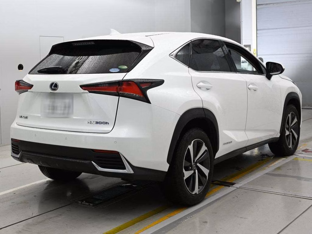 LEXUS NX300