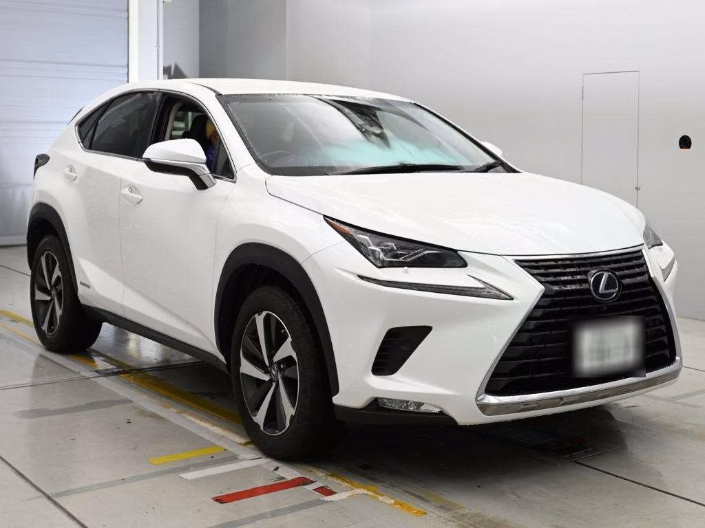 LEXUS NX300