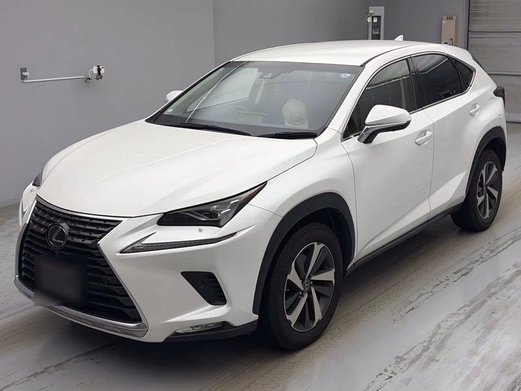 LEXUS NX300