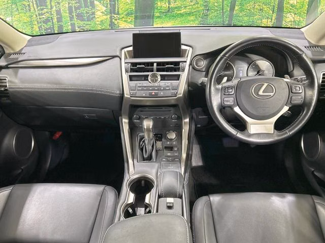 Lexus NX300