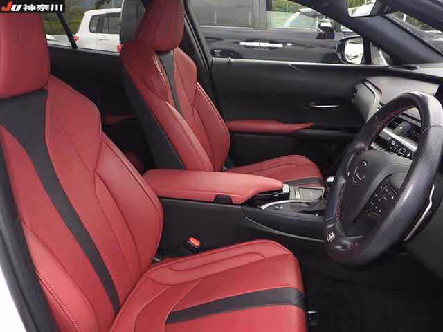 Lexus UX250h