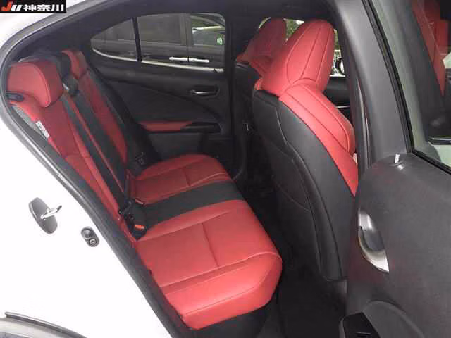 Lexus UX250h