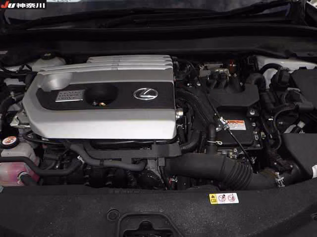 Lexus UX250h
