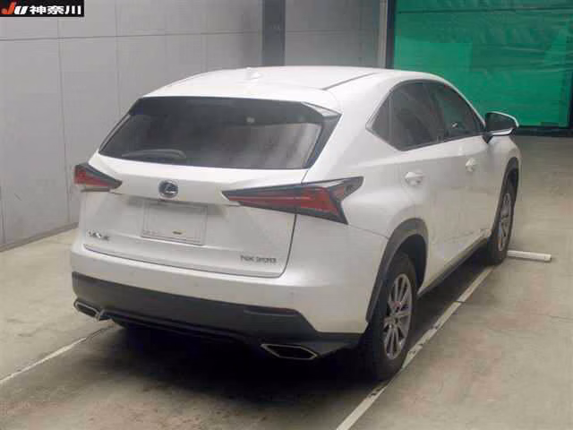 LEXUS NX300
