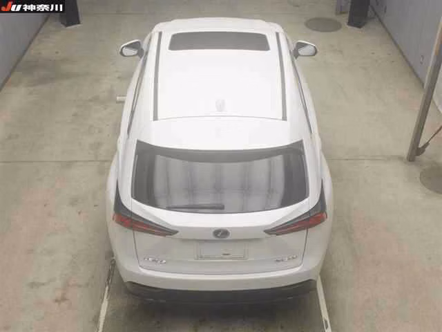 Lexus NX300
